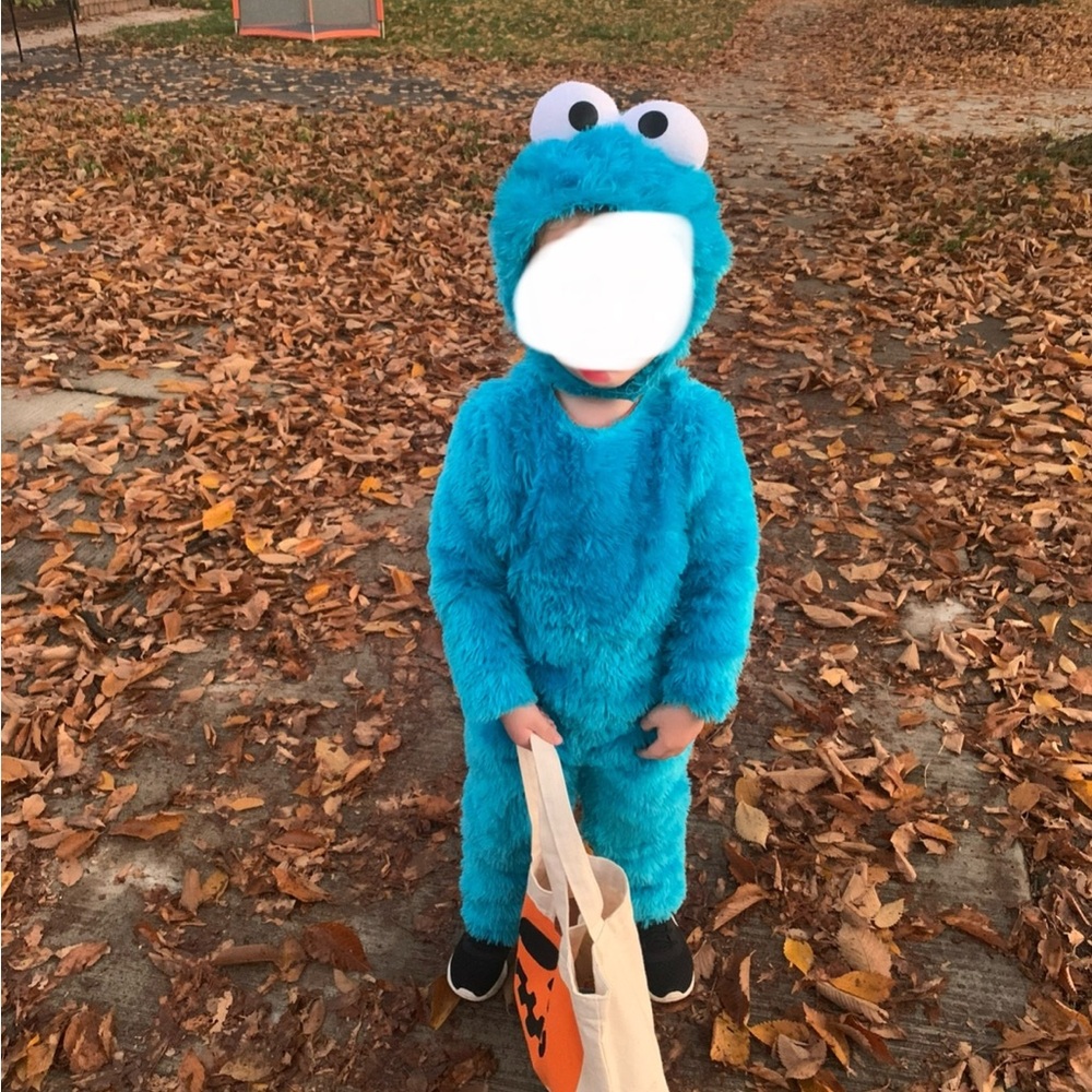 Cookie monster Halloween costume